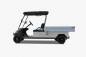 Preview: BT-Golfcars "TM1000"