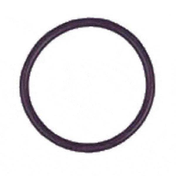 E-Z-GO O-Ring Oil Filter (Years 1991-Up)