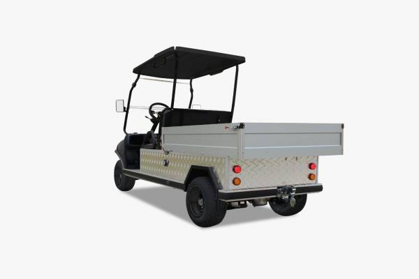 BT-Golfcars "TM1000"