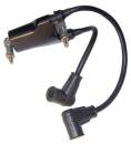 E-Z-GO E-Z-GO 4-Cycle Ignition Coil (Years 1991-2002) Ignition COil (Years 1991-2002)